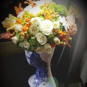 Meet your Posher, Molly